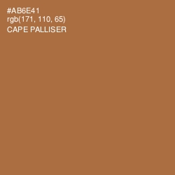 #AB6E41 - Cape Palliser Color Image